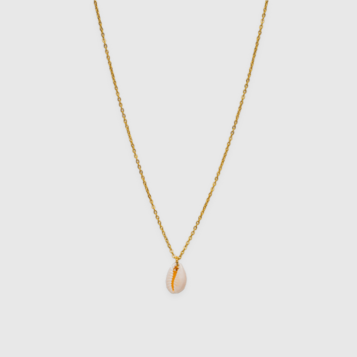 Conchiglia Kauri (argento)