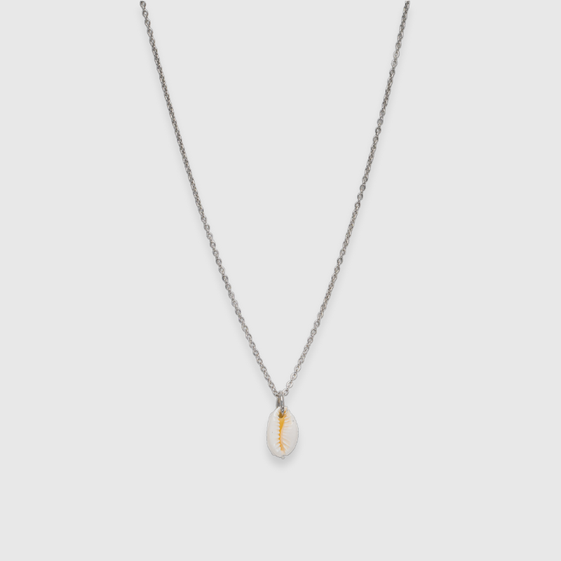 Conchiglia Kauri (argento)