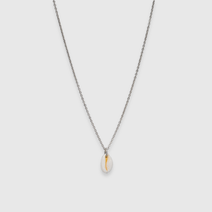 Conchiglia Kauri (argento)