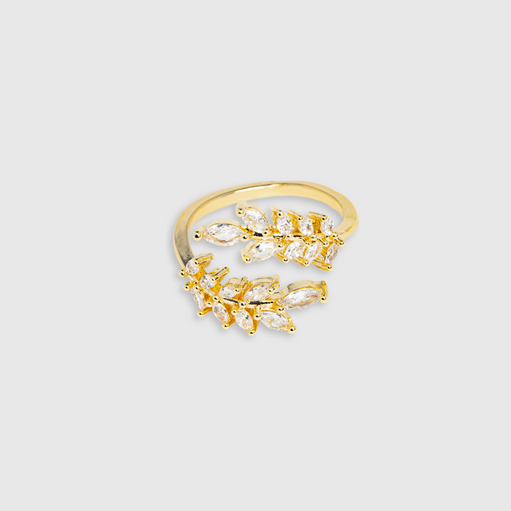 Anello in Zirconia